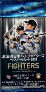 BBM2018 kC{nt@C^[YJpbN