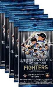 BBM2018 kC{nt@C^[YJ5pbNZbg