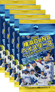 BBM2019 lDeNAxCX^[Y J5pbNZbg