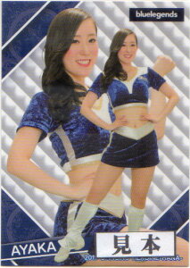 BBM2019 v싅`A[_[J[h-؁E- bluelegendsiCIYj M[J[h