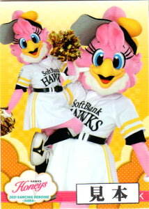 BBM2021 v싅`A[_[J[h-؁E- bluelegendsiCIYj M[J[h