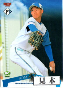 BBM2023 kC{nt@C^[Y M[J[hLJ[h