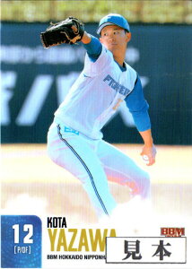 BBM2024 kC{nt@C^[Y M[J[hLJ[h