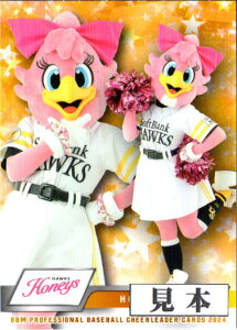 BBM2024 v싅`A[_[J[h Honeysi\tgoNz[NXj M[J[h