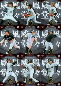 BBM2025 ��t���b�e�}���[���Y �C���T�[�g�J�[�h�E�Е����X�J�[�h (No.PC1-No.PC9)�^YOUMG GUNS�J�[�h (No.YG1-No.YG2)�^Break the Limit�J�[�h (No.BL1-No.BL4)