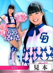 BBM2025 v싅`A[_[J[h `AhSY2025(hSYj M[J[h