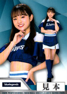 BBM2025 v싅`A[_[J[h bluelegendsiCIYj M[J[h