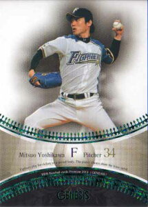 BBM2013 GENESIS/WFlVX 100p No.057 gv