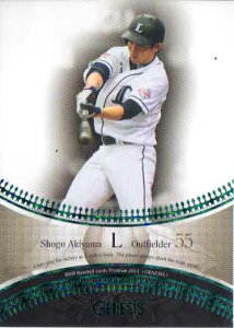 BBM2013 GENESIS/WFlVX 100p No.072 HRČ