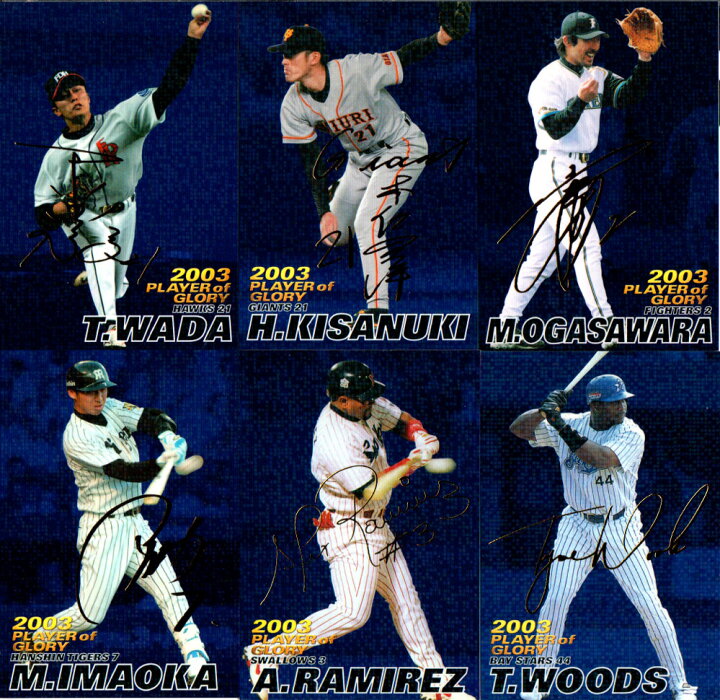 楽天市場】カルビー2004 プロ野球チップス プレイヤー オブ グローリー 