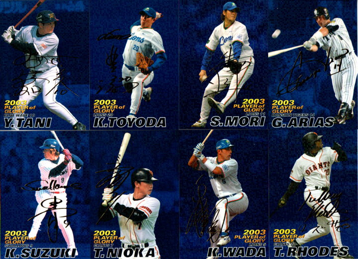 楽天市場】カルビー2004 プロ野球チップス プレイヤー オブ グローリー 