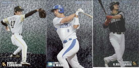 カルビー2006 プロ野球チップス WEB限定カード(タイトルホルダーカード・ベテランカード・バッティングリーダーカード)