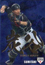 カルビー2016 野球日本代表 侍ジャパンチップス 金箔漢字パラレルカード No.SJ-18 炭谷銀仁朗