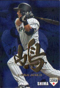 Jr[2016 싅{\ Wp`bvX pJ[h No.SJ-19 G