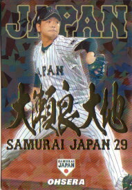 カルビー2017 野球日本代表 侍ジャパンチップス 金箔漢字パラレルカード No.SJ-13 大瀬良大地