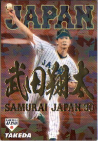 カルビー2017 野球日本代表 侍ジャパンチップス 金箔漢字パラレルカード No.SJ-14 武田翔太