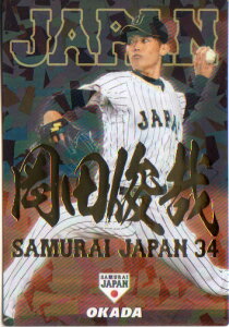 Jr[2017 싅{\ Wp`bvX pJ[h No.SJ-15 cr