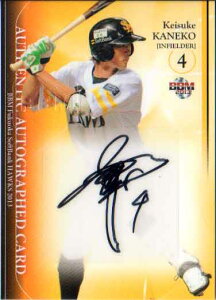 BBM2013 \tgoNz[NX MTCJ[h q\ /60