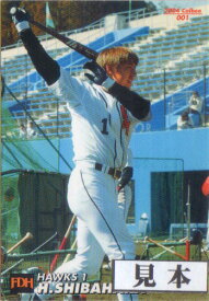 カルビー2004 プロ野球チップス レギュラーカード 250円以上カード（No.137-No.228)