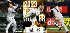 カルビー2024 プロ野球チップス レギュラーカード (No.31-No.60)