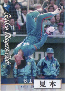 瓰2013 {v싅ItBVg[fGBOJ[h M[J[h 300~J[h