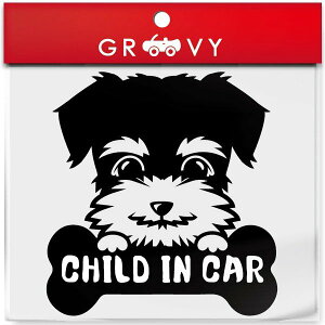 CHILD IN CAR ~j`A ViEU[  XebJ[ `Ch C J[  Gu V[ fJ[ ANZT[ uh AEghA ObY G 