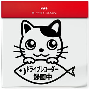 Ԃ L u` lR ~bNX hR hCuR[_[ ^撆 Be   ^] h~  h XebJ[ V[ L 킢 ybg I[i[ ObY G ACe  