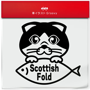 XReBbV tH[h A^Cv L lR ˂  i  XebJ[ V[ L 킢 ybg I[i[ ObY G ACe   fJ[ ANZT[ uh AE