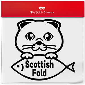 XReBbV tH[h B^Cv L lR ˂  i  XebJ[ V[ L 킢 ybg I[i[ ObY G ACe   fJ[ ANZT[ uh AE