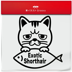 GL]`bN V[gwA A^Cv L lR ˂  i  XebJ[ V[ L 킢 ybg I[i[ ObY G ACe   fJ[ ANZT[ uh AE