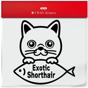 GL]`bN V[gwA B^Cv L lR ˂  i  XebJ[ V[ L 킢 ybg I[i[ ObY G ACe   fJ[ ANZT[ uh AE