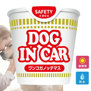 hbO C J[  XebJ[ V[ dog in car   Ă܂ ܂ ʔ pfB  IV  ObY h Gu ANZT[ G AEghA uh 
