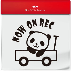 킢  XebJ[ J[XebJ[ h V[ hR hCuR[_[ ^撆 p_ ς   Aj} ObY G Be xr[J[  Vv uh 