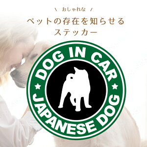 { Hc b㌢ IB l Č kC  JtF  dog in car  XebJ[ V[   R  Ă܂ hbO C J[ ܂ lC ʔ pfB  
