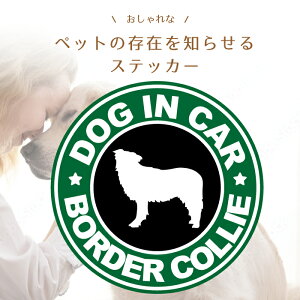 {[_[R[  JtF  dog in car BORDER COLLIE  XebJ[ V[  R  Ă܂ hbO C J[ ܂ lC ʔ pfB  IV  I[i[ 