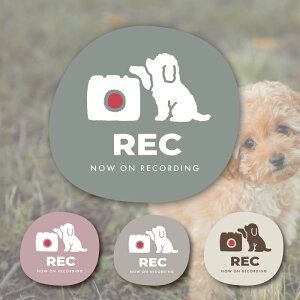 }Olbg XebJ[ gCv[h hR  q hCuR[_[ ^ S ^]  V[  R  ܂ lC ʔ IV  I[i[ ObY h AN