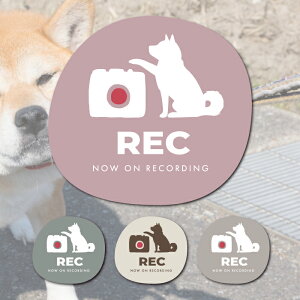 Č shiba inu hR  q hCuR[_[ ^ S ^]  XebJ[ V[  R  ܂ lC ʔ IV  I[i[ ObY h ANZT[ G 