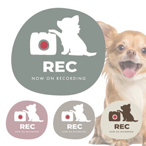 ` hR  q hCuR[_[ ^ S ^]  XebJ[ V[  R  ܂ lC ʔ IV  I[i[ ObY h ANZT[ G ^