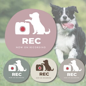 {[_[R[ hR  q hCuR[_[ ^ S ^]  XebJ[ V[  R  ܂ lC ʔ IV  I[i[ ObY h ANZT[ 