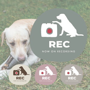 uh[Ego[ hR  q hCuR[_[ u ^ S ^]  XebJ[ V[  R  ܂ lC ʔ IV  I[i[ ObY h