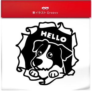  WbNbZ eA XebJ[ ̂  AEghA V[  킢  ~[ KX {fB  ybg I[i[ ObY ACe h Gu AN