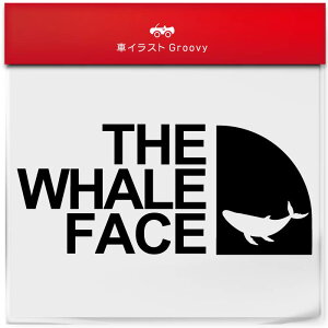 AEghA XebJ[ UgENW ~ NW   Vv  V[ Ă܂ Lv oR uh 킢 ObY G Mtg v[g j q Ԃ J