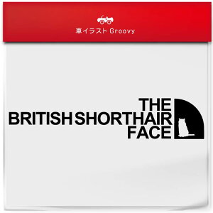 AEghA XebJ[ ueBbVV[gwA L lR  Vv  V[ Ă܂ Lv oR uh 킢 ObY G Mtg v[g j q Ԃ