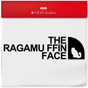 AEghA XebJ[ K}tB L lR  Vv  V[ Ă܂ Lv oR uh 킢 ObY G Mtg v[g j q Ԃ JCC IV