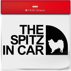 AEghA XebJ[ Xsbc    Vv  V[ Ă܂ Lv oR uh 킢 ObY G Mtg v[g j q Ԃ JCC IV