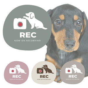 _bNXth hR  q hCuR[_[ ~j`A _bNX ^ S ^]  XebJ[ V[  R  ܂ lC ʔ IV  I[i[ ObY