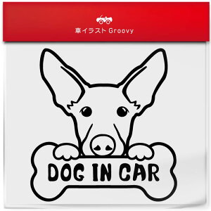 CrU nEh  XebJ[ Ă܂ DOG IN CAR  Gu V[ fJ[ ANZT[ uh AEghA ObY G   