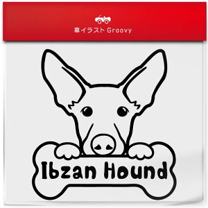 CrU nEh  XebJ[ 햼   Gu V[ fJ[ ANZT[ uh AEghA ObY G   