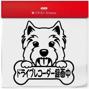 EGXgnCh zCgeA  XebJ[ hCuR[_[^撆 ʈS ^] 댯^] h~ ΍ h   Gu V[ fJ[ ANZT[ uh 