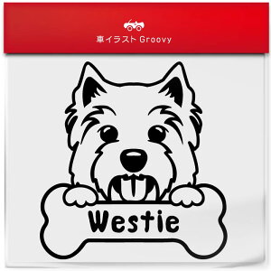 EGXgnCh zCgeA  XebJ[ 햼   Gu V[ fJ[ ANZT[ uh AEghA ObY G   